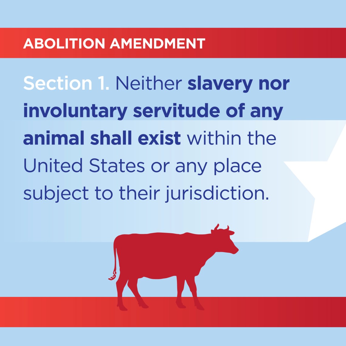 Abolition Amendment - image by Chris Censullo