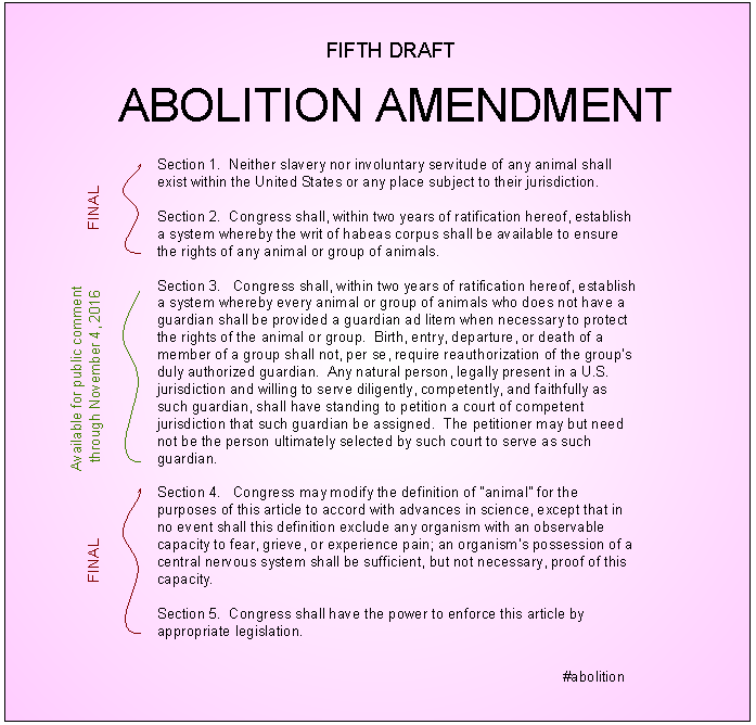 Abolition Amendment | Draft 5