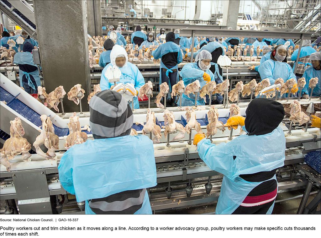 figure_8-_poultry_workers_cutting_and_trimming_chickens_26676936363