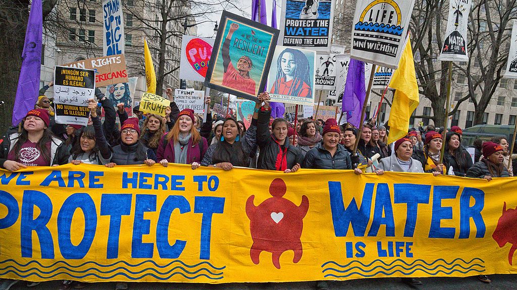 Inauguration_Protests_-_Washington_(32452971956) (1)
