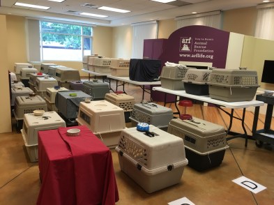 3-set up to receive cats