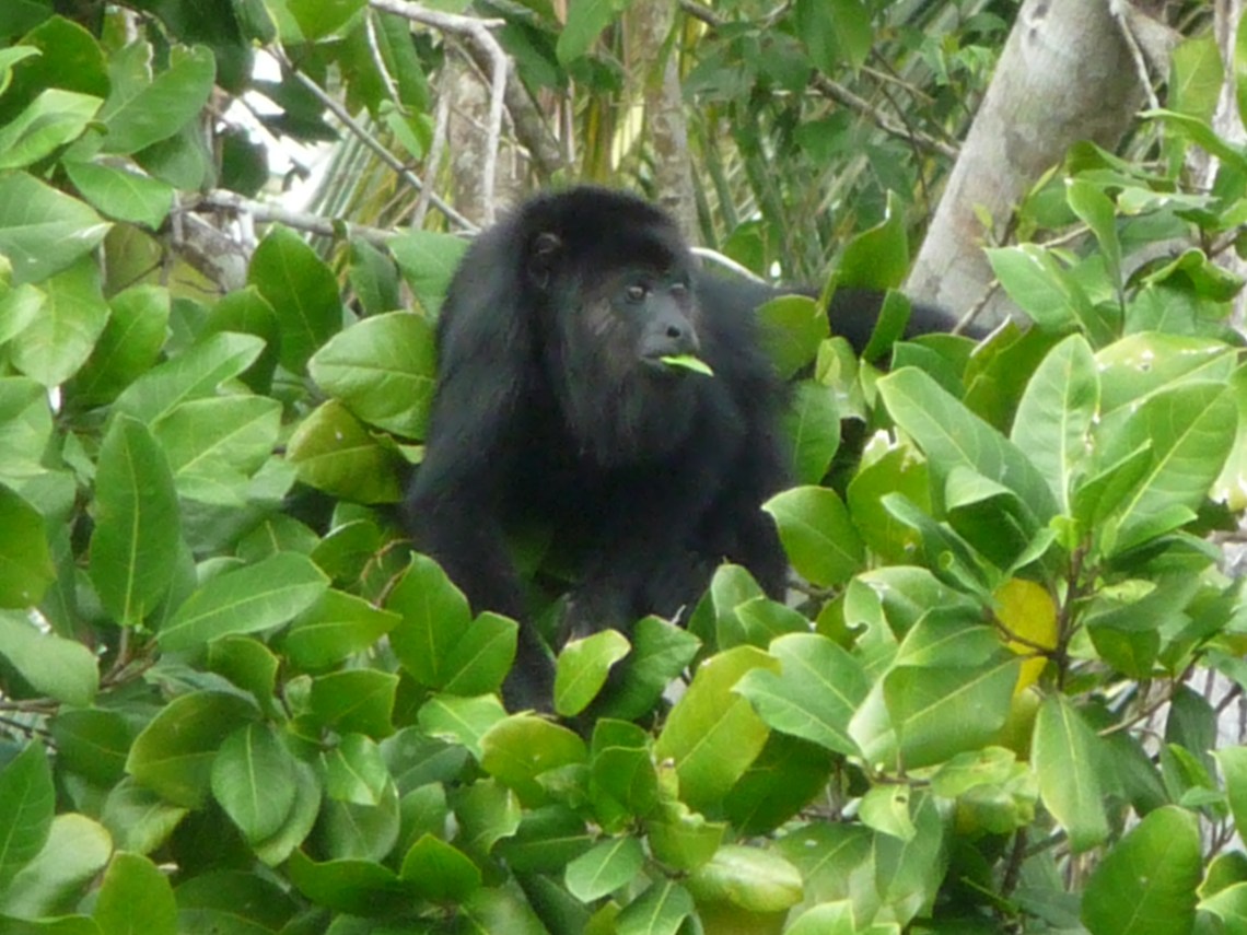 Belize-Guatemala 2011 010