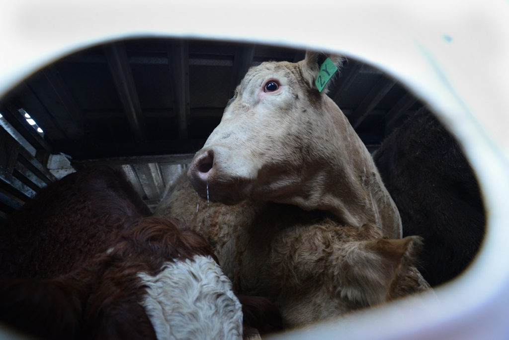 2b BlockadiaNov2014_JMcArthur-6266