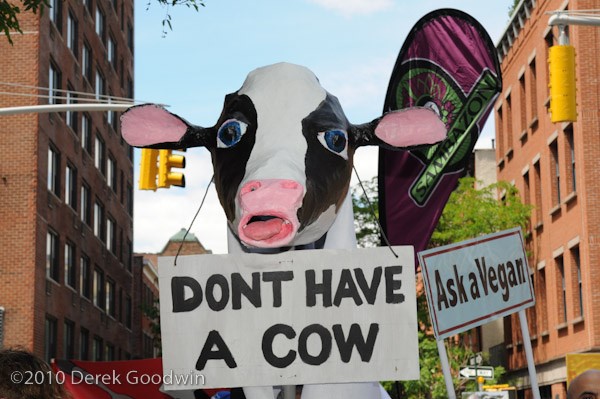 Veggie Pride Parade | Don't Have a Cow