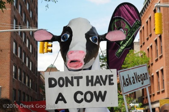 Veggie Pride Parade | Don't Have a Cow