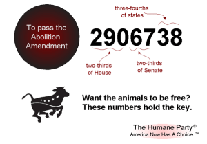 magic number abolition amendment