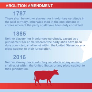 Abolition Amendment_shell