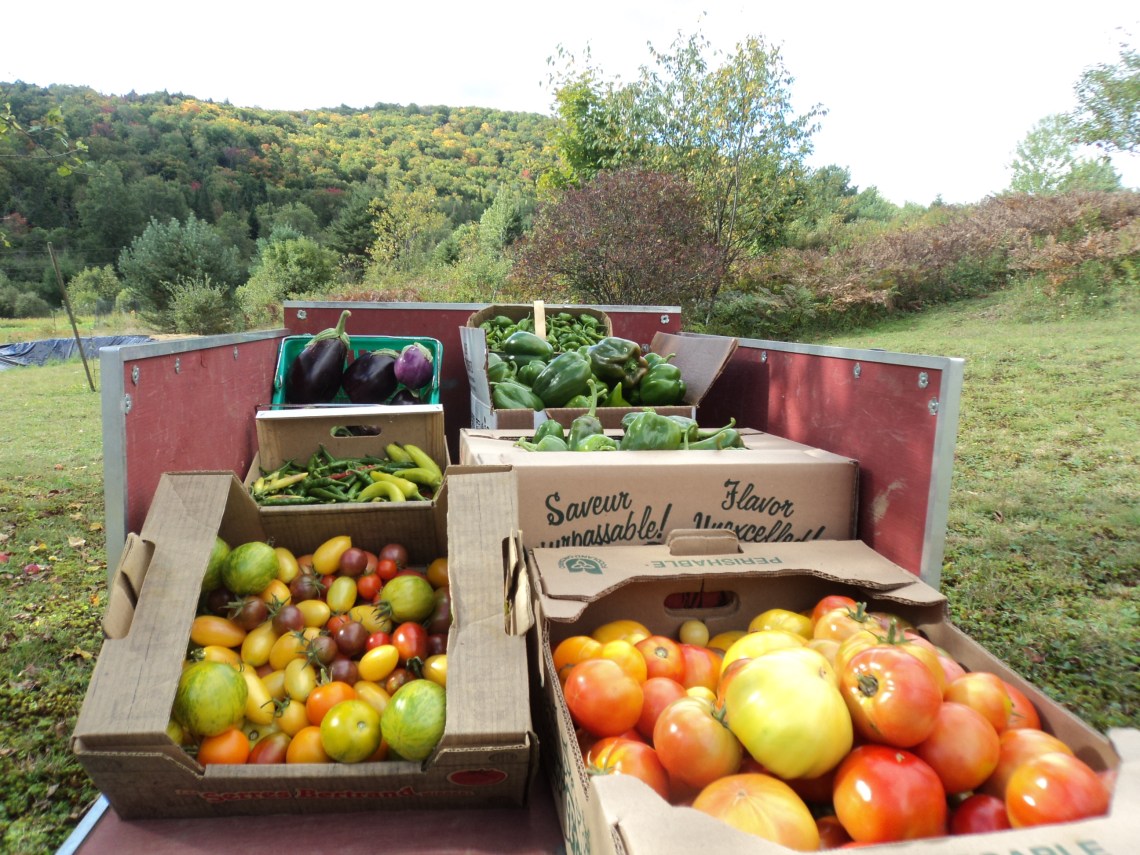 canot riviere diable harvest gleaning 014