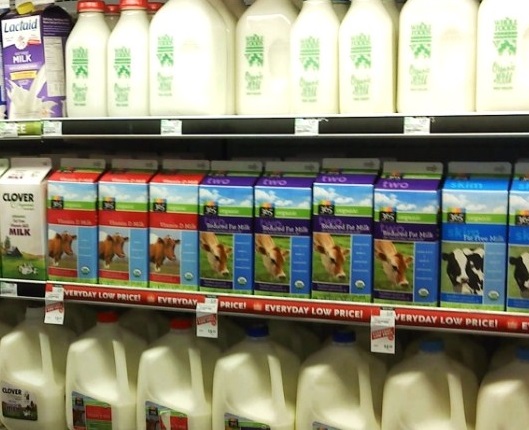 shelf of cows' milk