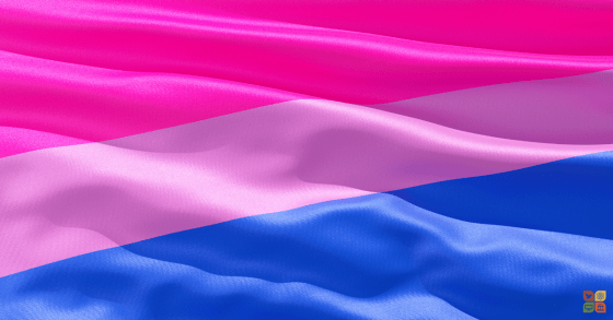 Bisexual pride flag with horizontal pink, purple, and blue stripes, representing bisexual visibility and equality.
