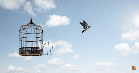 An open birdcage hanging in the sky with a bird flying free into the clouds, symbolizing liberation and freedom.
