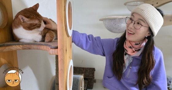 YongsanCats rescuer pets an orange-and-white cat in Seoul, South Korea.